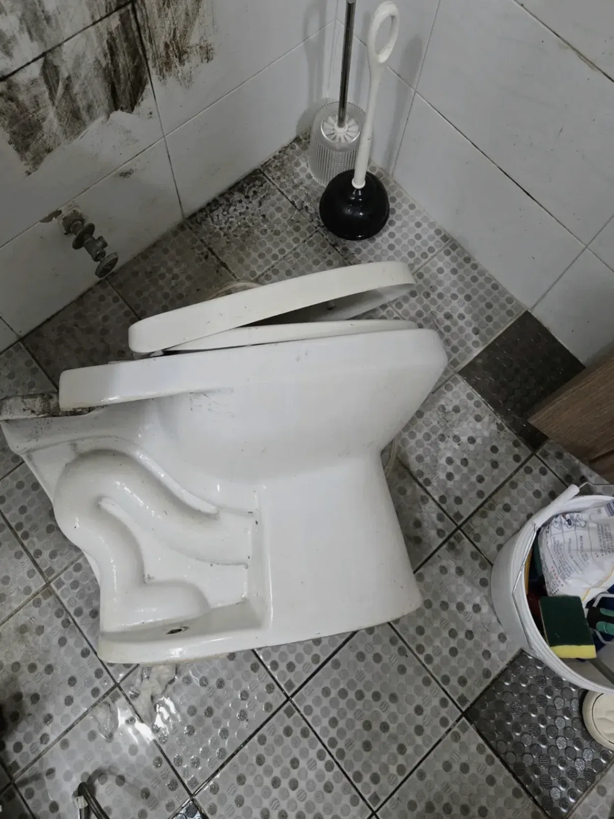 고양시변기막힘 관련 작업 이미지 6